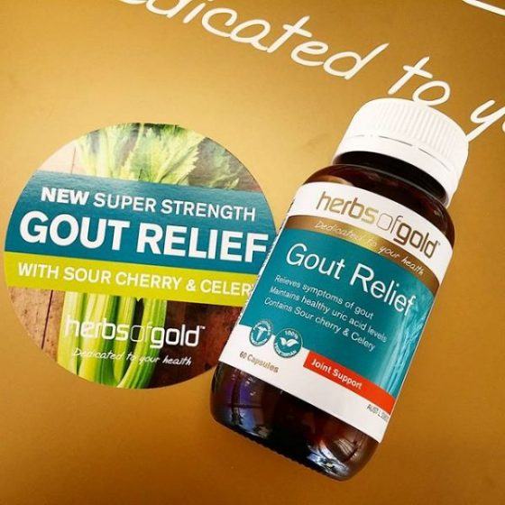 Herb Of Gold Gout Relief Hỗ trợ điều trị gút