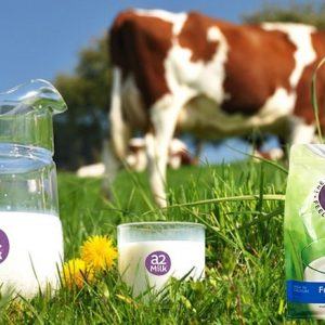 Sữa-A2-của-Úc-dinh-dưỡng